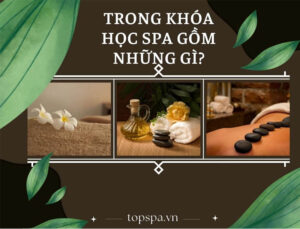 trong khoa hoc spa gom nhung gi