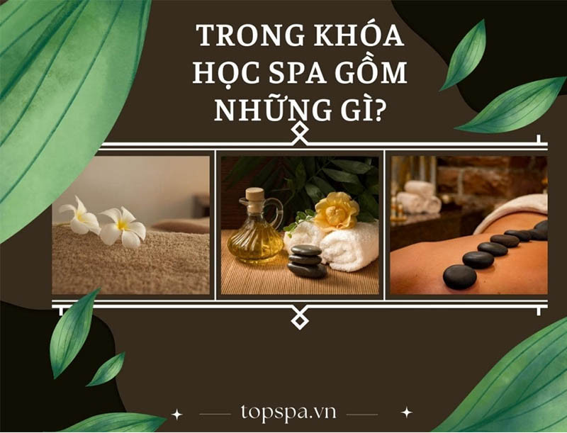 trong khoa hoc spa gom nhung gi