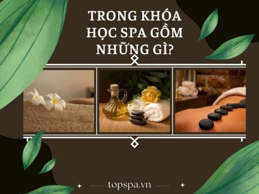 học spa gồm những gì