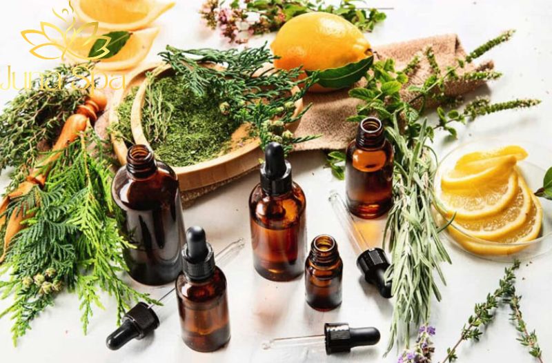 Top Spa Việt Nam