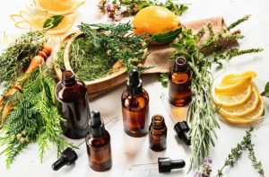 Mỹ phẩm thuần chay - Xu hướng làm đẹp xanh bạn đã thử chưa?