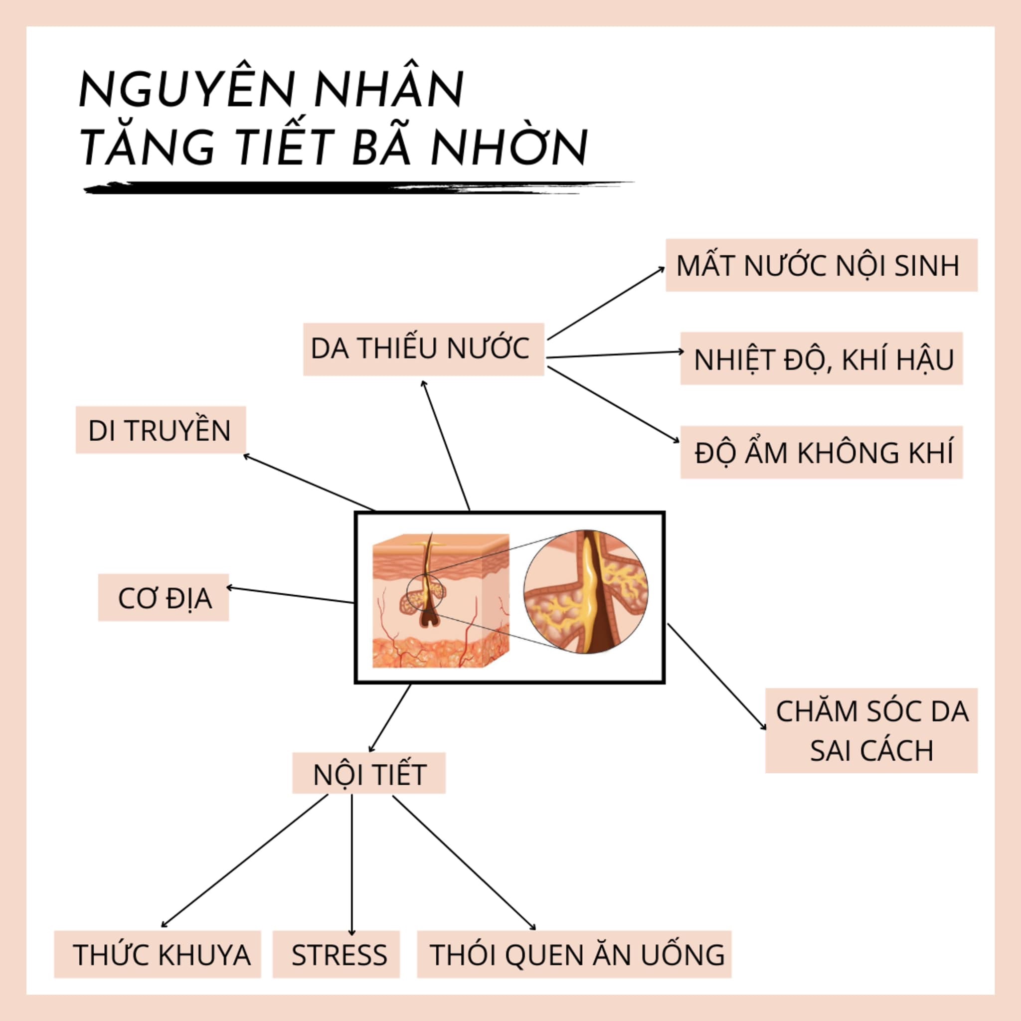 2. Nguyên Nhân Tăng Tiết Bã Nhờn