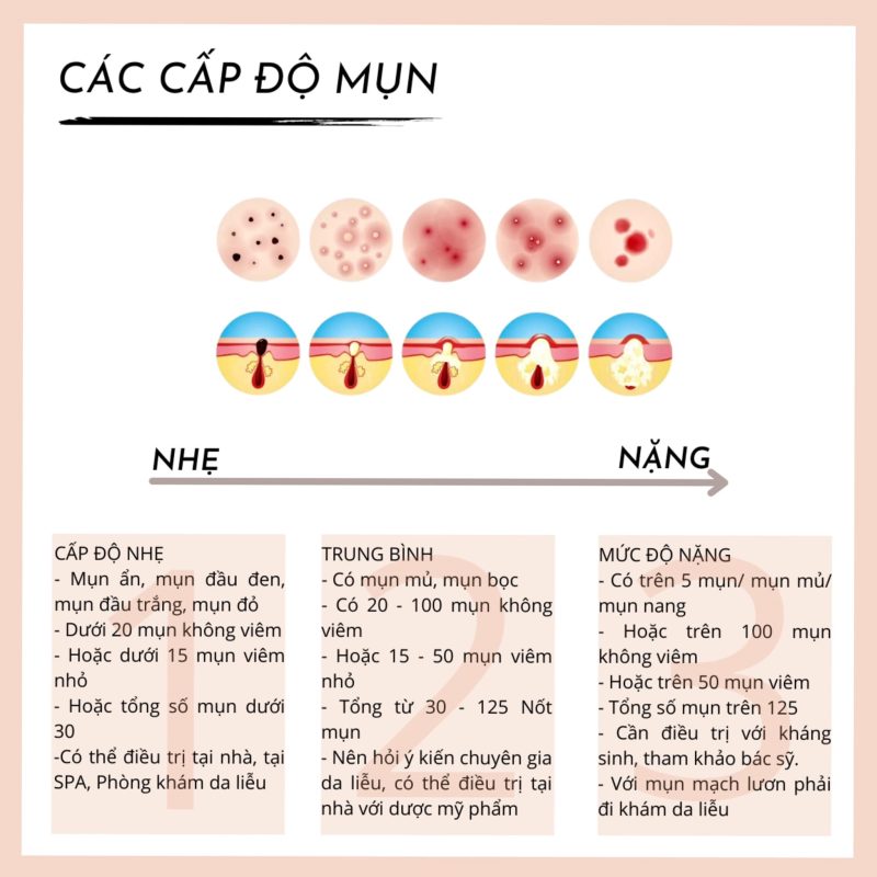 Top Spa Việt Nam