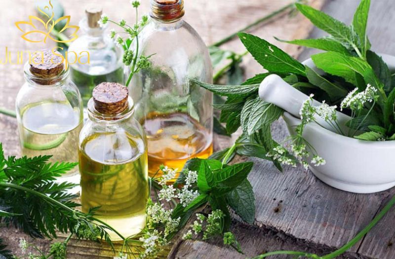 Lợi ích thực tế của mỹ phẩm thuần chay cho người dùng