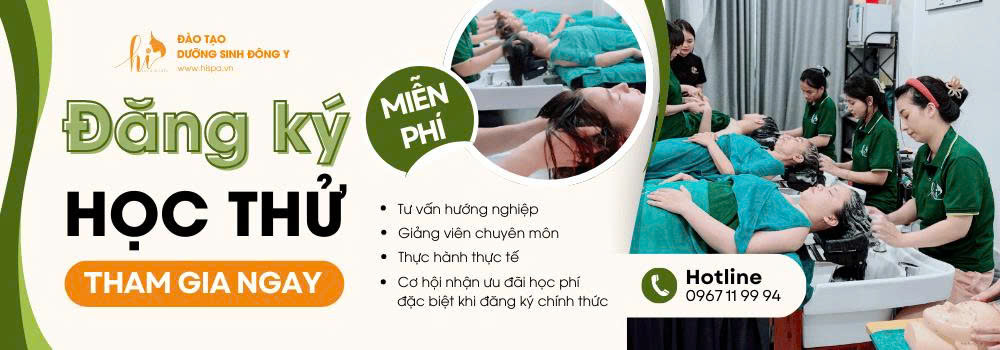 Top Spa Việt Nam